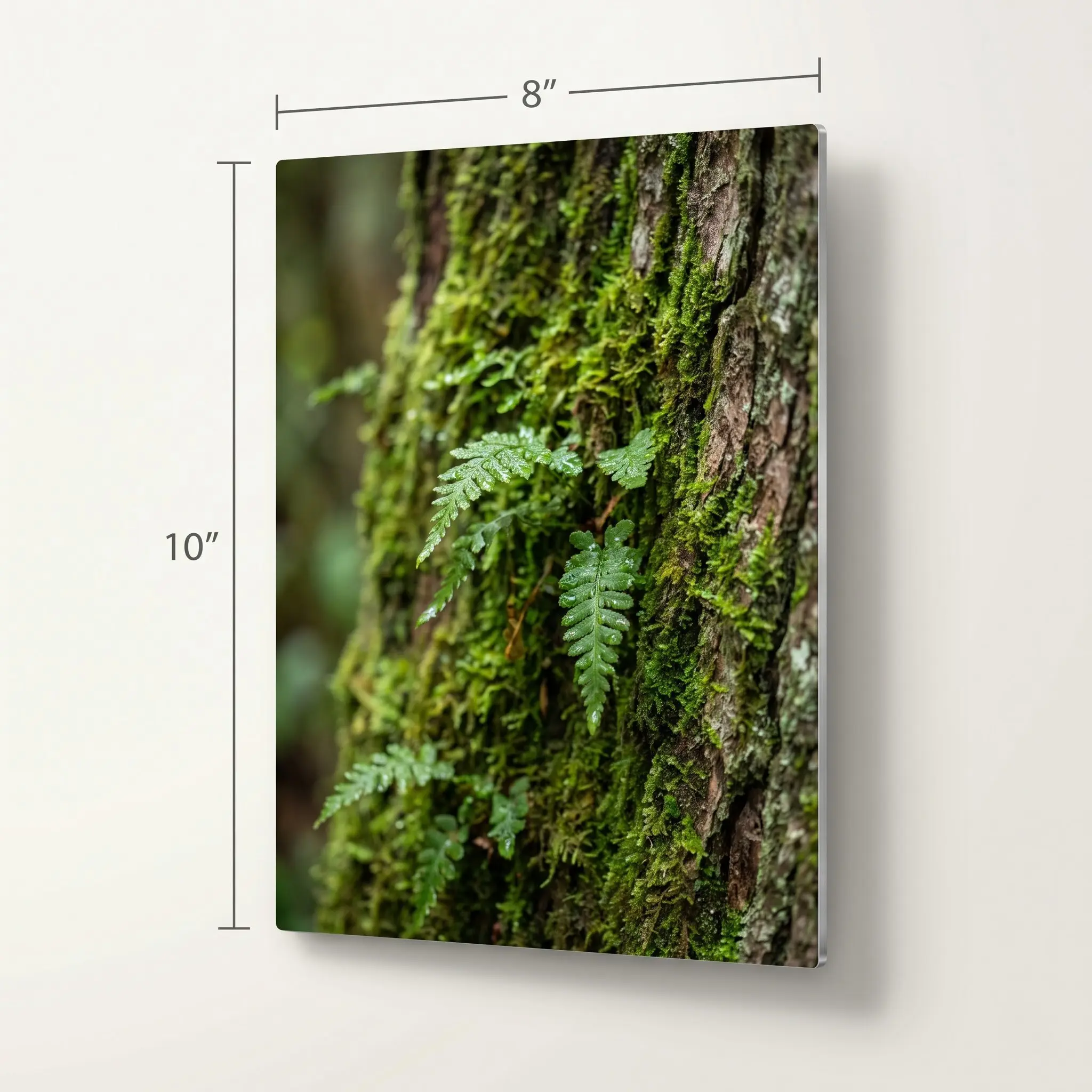 8" × 10" print